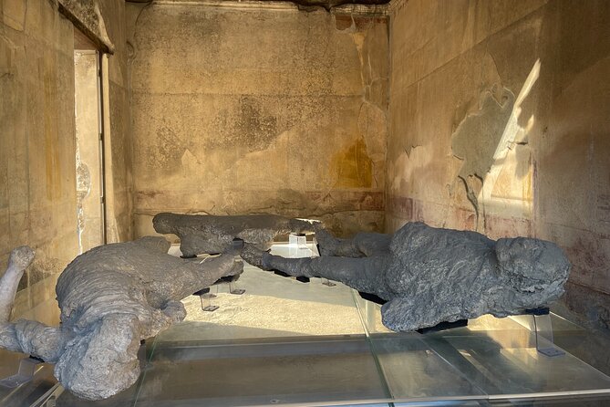 Pompeii, Vesuvius & wine tasting from Positano all inclusive - Who should book this day