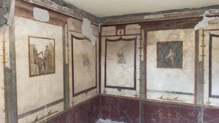 Pompeii-Vesuvius & Winery All Inclusive Tour From Positano - Why this Pompeii and Vesuvius combination works