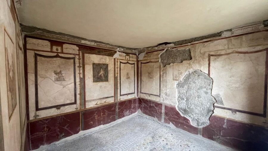 Pompeii-Vesuvius & Winery All Inclusive Tour From Positano - What the $284.46 price means
