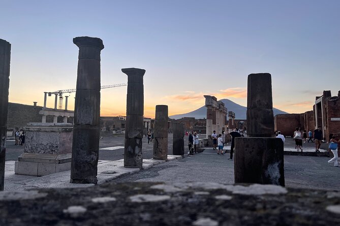 Pompeii & Vesuvius with Lunch & Wine Tasting from Amalfi Coast - Is $322.33 a fair price?