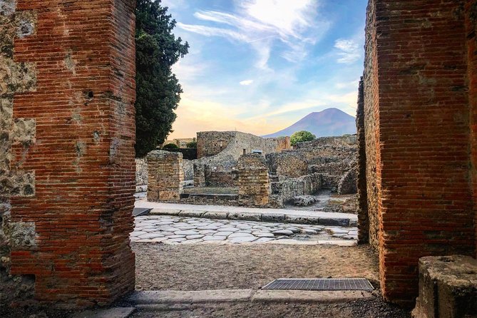 Pompeii & Vesuvius with Wine Tasting from the Coast - Pompeii in two focused hours