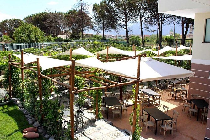 Pompeii & Vesuvius with Wine Tasting from the Coast - Wine at Vigna delle Rose