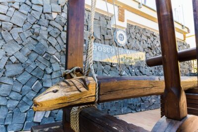 Pompeii Vineyard Escape: Private Wine Tasting & Lunch