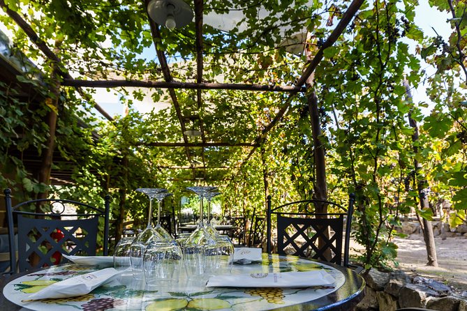 Pompeii Vineyard Escape: Private Wine Tasting & Lunch - Is $66.54 a fair price?