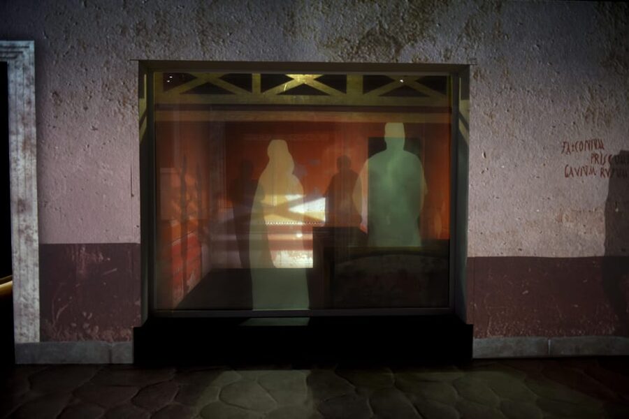 Pompeii: Virtual Museum ticket - From ordinary life to the disaster of 79 AD