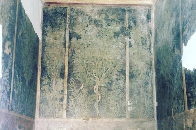 Pompeii walking tour (2hrs) - Pompeii’s streets, shops, and daily routines