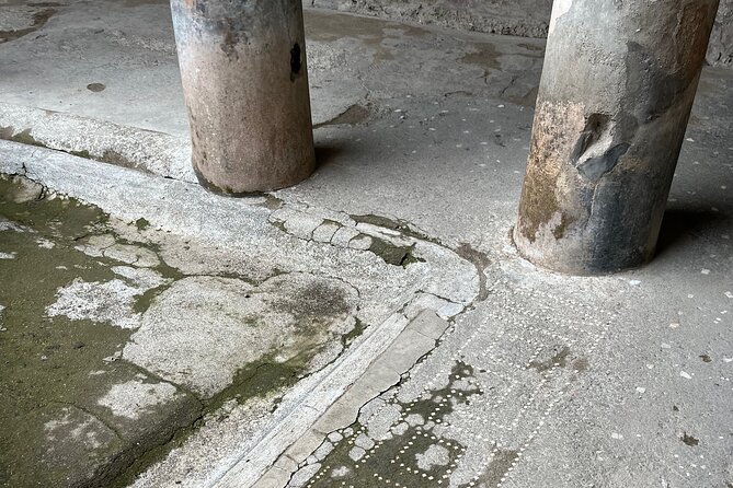 Pompeii walking tour (2hrs) - Thermal baths and the practical side of Roman life