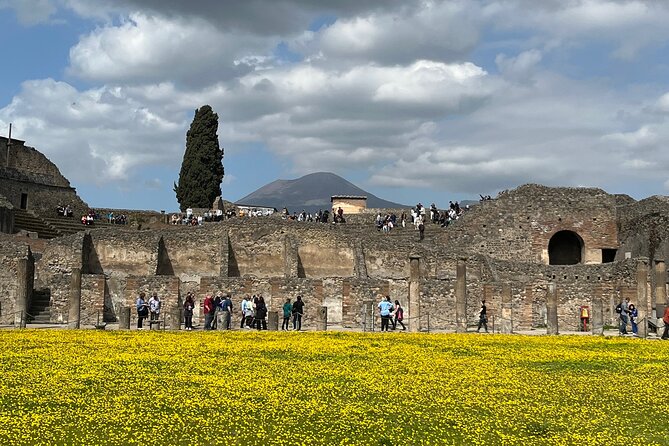 Pompeii walking tour (2hrs) - Meeting at Piazza Esedra and entering the archaeological park