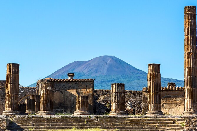 Pompeii Walking Tour with a licensed Guide - Price, admission, and the value of privacy