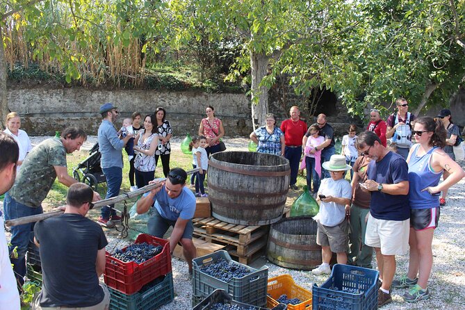 Pompeii Wine Tasting Tour from Positano - Pompeii, Wine, or Both?