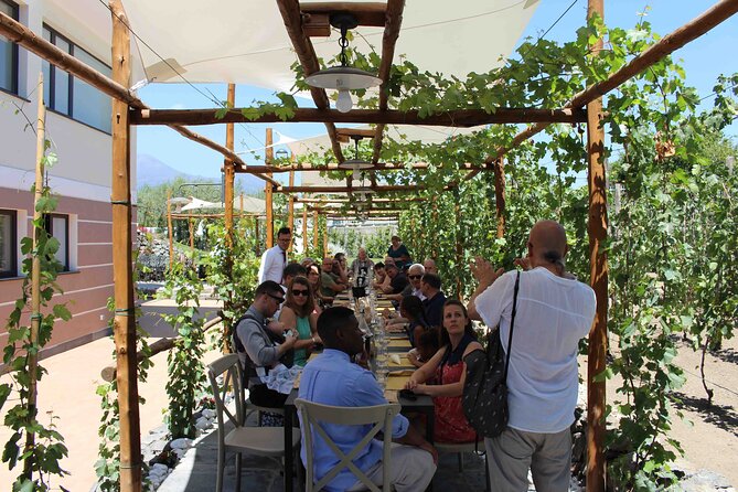 Pompeii Wine Tasting Tour from Positano - What You Actually Get for $301.20