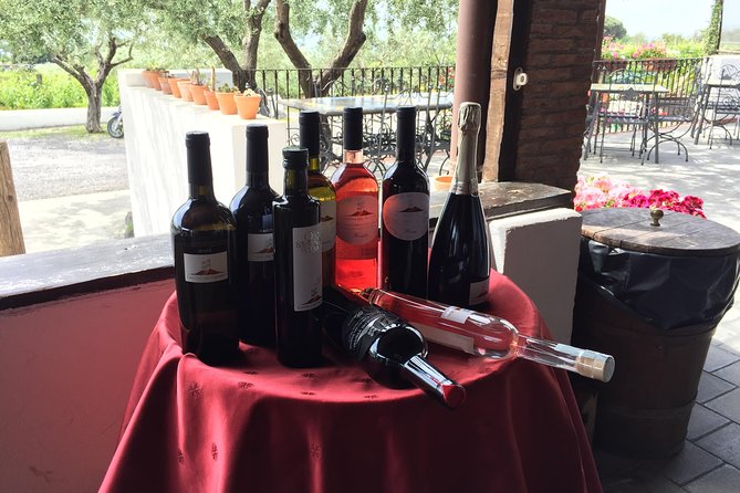 Pompeii-Wine tasting tour from Sorrento, licensed guide included - Leaving Sorrento at 8:15 AM