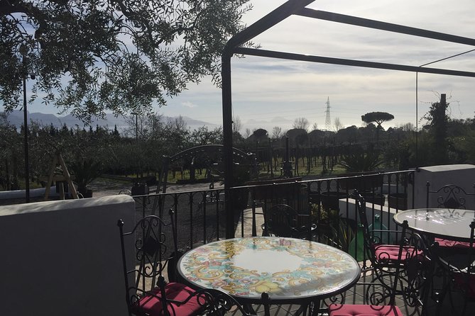 Pompeii-Wine tasting tour from Sorrento, licensed guide included - Lunch at Cantina del Vesuvio
