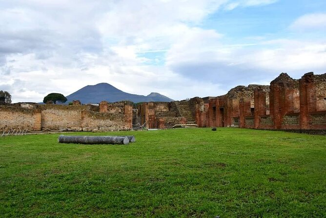 Pompeii & Wine Tour from Sorrento (tickets & lunch not included) - From ancient streets to a winery near Vesuvius
