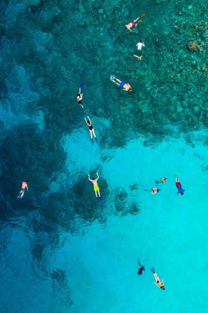 Positano: Capri and Blue Grotto Shared Boat Tour with Drinks - Swimming in the Tyrrhenian Sea