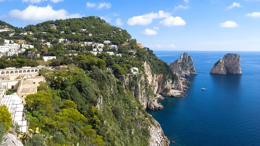 Positano: Small-Group Boat Excursion to Capri Island - Is $164.26 a fair price?