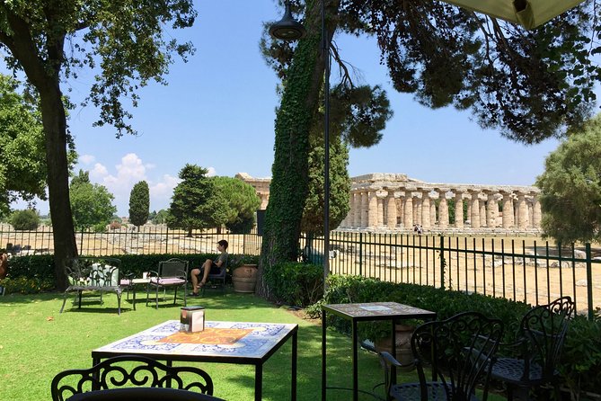 Private 2 Hour Paestum Tour - What the $200.16 group price really means