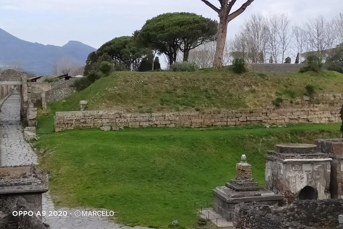 Private Archaeologist service to explore Pompeii's secrets any time ticket incl. - House of the Tragic Poet and the Cave Canem warning