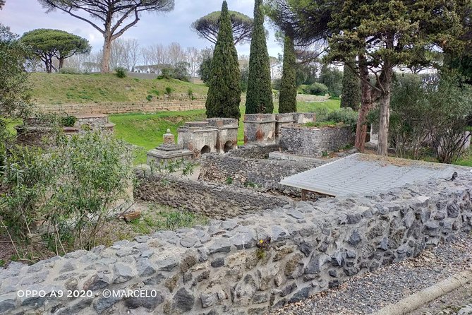 Private Archaeologist service to explore Pompeii's secrets any time ticket incl. - How good are the guides?