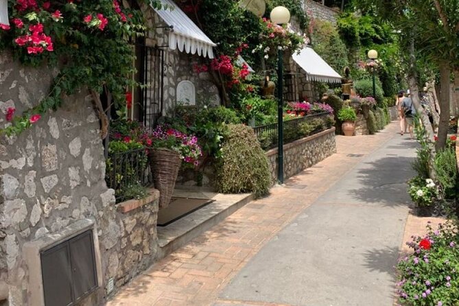 Private Capri and Blue Grotto Day Tour From Sorrento - Monte Solaro by chairlift