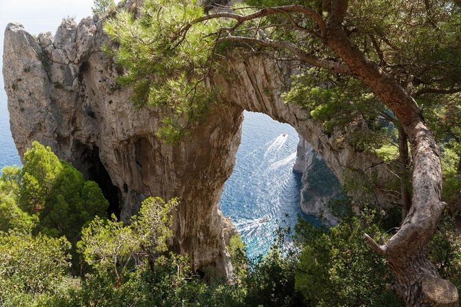 PRIVATE CAPRI ISLAND & BLUE GROTTO Full Day boat tour. - Key points to know before booking