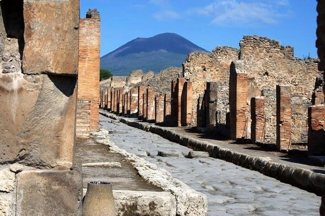 Private day tour to Pompei ,winery, Sorrento from Napoli/Salerno/Amalfi/Positano - Why this Pompeii and Sorrento day works