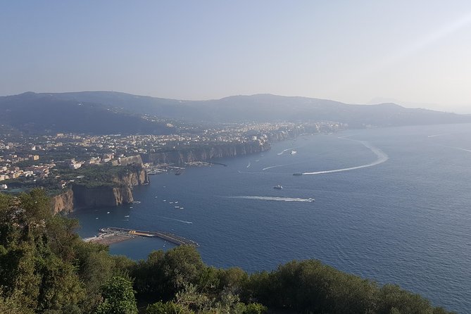 Private day tour to Pompei ,winery, Sorrento from Napoli/Salerno/Amalfi/Positano - Pompeii in the morning: an ancient city that needs context