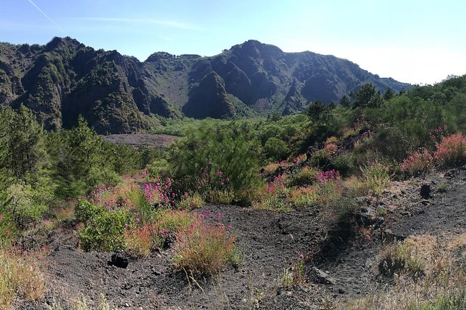 Private Day Tour to Vesuvius, Herculaneum & Pompeii with Pick Up - What the $120.98 price really buys