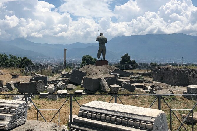 Private Full Day Tour Ruins of Pompei and Wine Tasting Experience - A private driver can change the feel of the day
