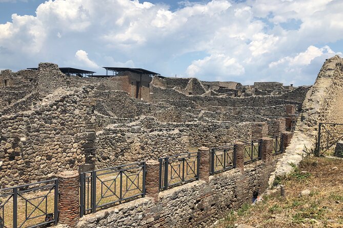 Private Full Day Tour Ruins of Pompei and Wine Tasting Experience - Is $676.37 good value for two?