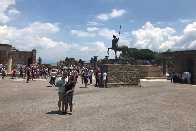 Private Full Day Tour Ruins of Pompei and Wine Tasting Experience - Weather and flexibility