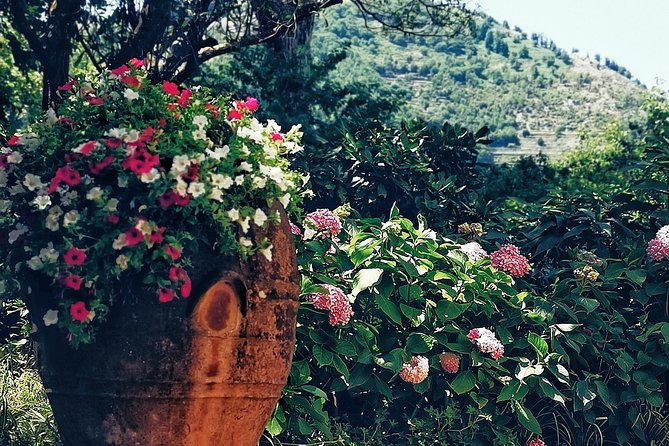 Private full day tour to Capri with grottos - A two-hour Capri stop at Marina Grande