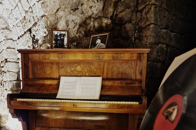 Private Guided Multimedia Exhibition on the History of Sorrento - Who will enjoy this short Sorrento visit?