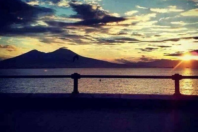Private Guided Tour Of Capri - Sorrento & Pompeii - Who should book this day