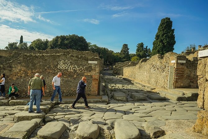 Private guided tour Of Pompei - Who should book this Pompeii tour?