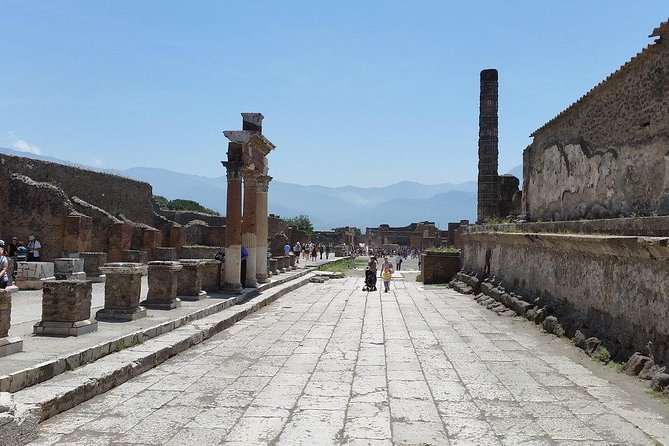 Private Guided Tour of Pompeii and Herculaneum - Price, inclusions, and what you really pay for