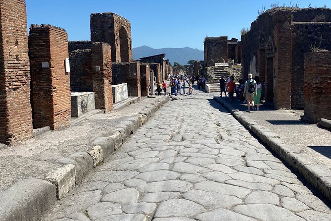 Private Guided Tour of Pompeii Excavations - Meeting at Porta Marina Superiore