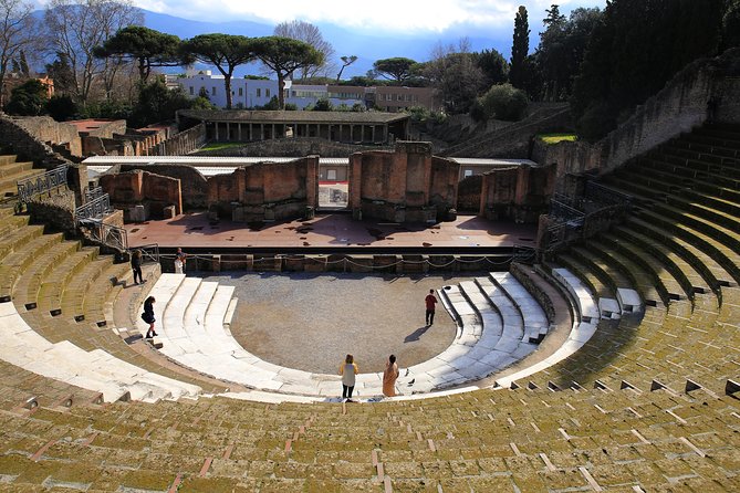 Private Half-Day Tour of The Pompeii Ruins Highlights and Mann - Starting at Pompeii Archaeological Park