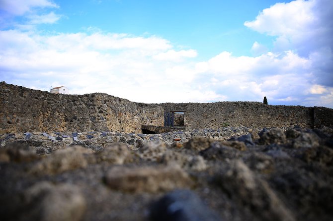Private Half-Day Tour of The Pompeii Ruins Highlights and Mann - The Forum and the monuments around it