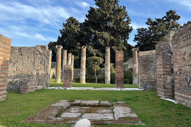 Private Half Day Tour to the Ruins of Pompeii - What this Pompeii outing really offers