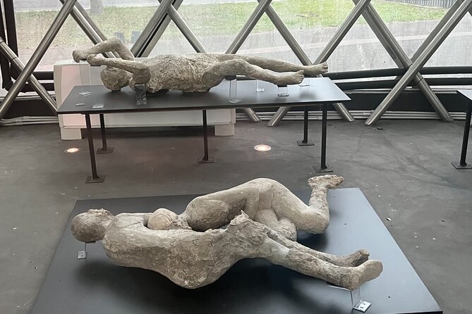 Private Half Day Tour to the Ruins of Pompeii - Adding lunch, vineyards, and Vesuvius wine