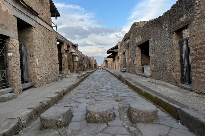 Private Half Day Tour to the Ruins of Pompeii - Is $220.35 per person a fair price?