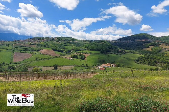 Private Irpinia Wine Tour from POSITANO, AMALFI or RAVELLO - Key points to know before booking