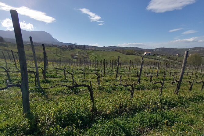 Private Irpinia Wine Tour from POSITANO, AMALFI or RAVELLO - Why Irpinia makes a worthwhile change from the Amalfi Coast