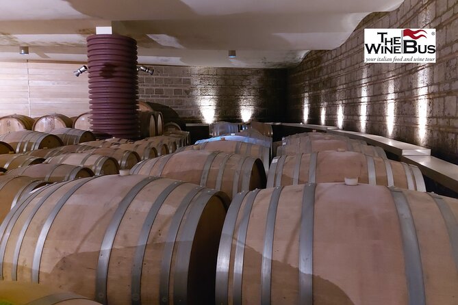 Private Irpinia Wine Tour from Sorrento with sommelier - A private guide changes the pace