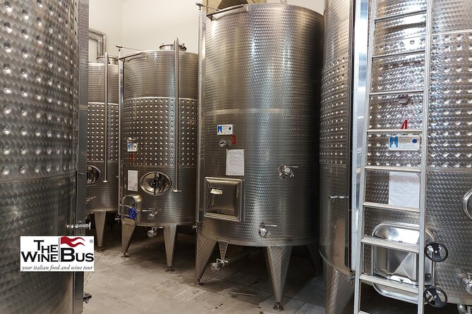 Private Irpinia Wine Tour from Sorrento with sommelier - Who should book this Irpinia day