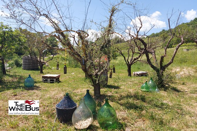 Private Irpinia Wine Tour from Sorrento with sommelier - Feudi di San Gregorio brings a second point of view