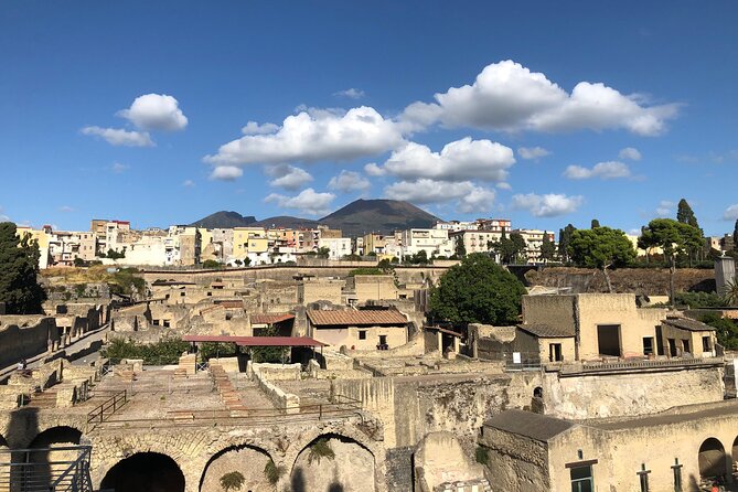 Private Pompeii and Herculaneum with Wine Tasting - Full Tickets - What the $669.28 price buys you