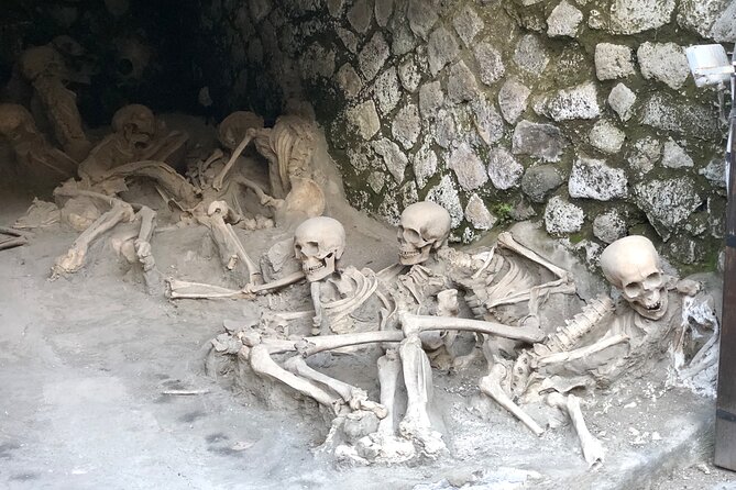 Private Pompeii and Herculaneum with Wine Tasting - Full Tickets - Pompeii: streets, theaters, bars, and private homes
