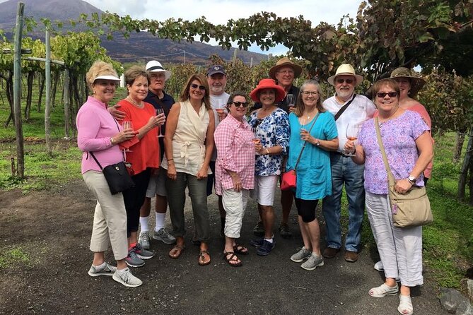 Private Pompeii and Vesuvius with Wine Tasting and Full Tickets - Pompeii in two focused hours